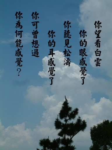 20080131-1