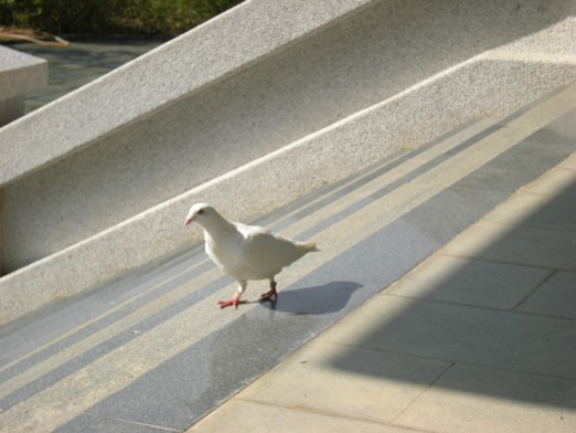 20081031