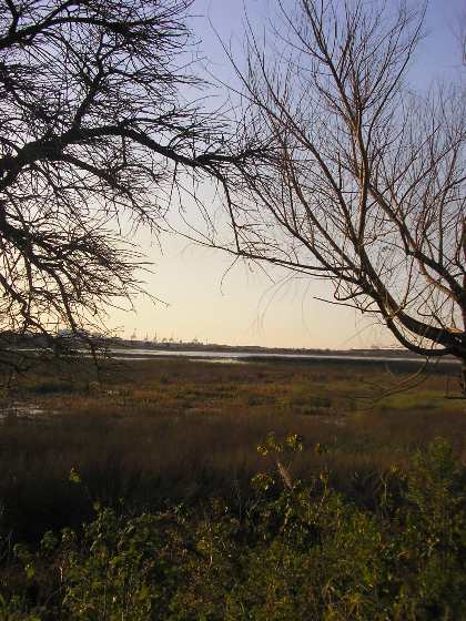 20081115